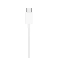 Apple EarPods USB-C (MTJY3) 3
